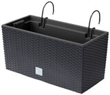 Klassisches Kunststoff-Pflanzgefäß oder Blumenkasten Angebote bei Penny Detmold für 4,99 €