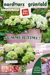 Der aktuelle Garten-Center Nordharz GmbH & Co. KG Prospekt SUMMER TIME!