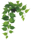 Promo Plante “toucher naturel” à 7,99 € dans le catalogue Bazarland à Nyons