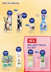 Aktueller dm-drogerie markt Prospekt mit Äpfel, "Herbstwetter. Na und?", Seite 4