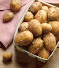 Pomme de Terre Primeur - Intermarché à Saintes Pomme de Terre Primeur en promo chez Intermarché Saintes à 3,39 €