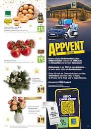 Pflanzen Angebot im aktuellen EDEKA Prospekt auf Seite 5