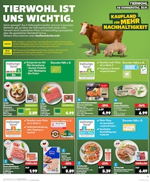 Kaufland Heissluftfritteuse im Prospekt 