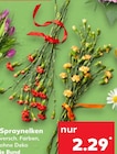 Spraynelken bei Kaufland im Eschweiler Prospekt für 2,29 €