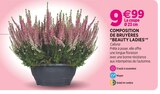 Jardineries du terroir Saint-Julien-en-Genevois - Promo Composition de bruyères "Beauty Ladies" Promo Composition de bruyères "Beauty Ladies" à 9,99 € dans le catalogue Jardineries du terroir à Saint-Julien-en-Genevois