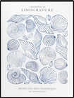 Wandbild "Muscheln", blau/weiĂ (40x30x2,5 cm) im dm-drogerie markt Prospekt Wandbild "Muscheln", blau/weiĂ (40x30x2,5 cm) von Dekorieren & Einrichten im aktuellen dm-drogerie markt Prospekt fĂŒr 9,95 âŹ