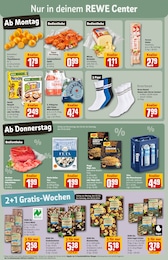 Tierfutter Angebot im aktuellen REWE Prospekt auf Seite 5