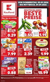 Kaufland Prospekt Hier bin ich richtig mit 60 Seiten