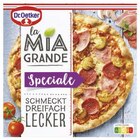 La Mia Familia/Grande im Angebot bei Lidl in Mettmann La Mia Familia/Grande Angebote von Dr. Oetker bei Lidl Mettmann für 3,29 €