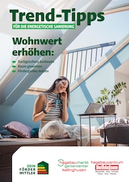 Dethlefsen Baustoffe Prospekt "Trend-Tipps für die energetische Sanierung" für Kisdorf, 20 Seiten, 16.10.2026 - 25.10.2026