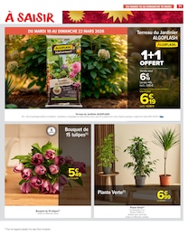 Offre Plante Verte dans le catalogue Carrefour Market du moment à la page 73