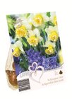 Blumenzwiebelmischung Angebote bei Lidl Dülmen für 2,49 €