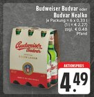 Original Czech Lager Angebote von Budweiser Budvar bei EDEKA Paderborn für 4,49 €
