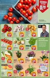 Ähnliche Weihnachtsstern Angebote im Prospekt "Dein Markt" von REWE in Euskirchen Ähnliche Angebote wie Weihnachtsstern im Prospekt "Dein Markt" auf Seite 5 von REWE in Euskirchen