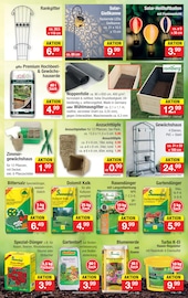 Rankhilfe im Zimmermann Prospekt in Mainz Aktueller Zimmermann Prospekt mit Rankhilfe, "Aktuelle Angebote", Seite 9