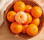 Aktuelle Gemüse Angebote bei Netto Marken-Discount in Oldenburg Aktuelles Auberginen Angebot bei Netto Marken-Discount in Oldenburg ab 0,99 €