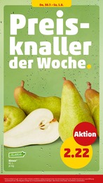 Birnen Angebot & Preis im aktuellen Penny Prospekt Birnen Angebot im aktuellen Penny Prospekt auf Seite 36