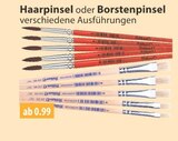 Haarpinsel oder Borstenpinsel im V-Markt Prospekt Haarpinsel oder Borstenpinsel von im aktuellen V-Markt Prospekt für 0,99 €