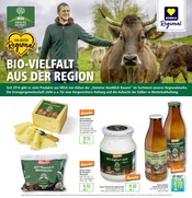 Aktueller Marktkauf Prospekt mit Joghurt, "Aktuelle Angebote", Seite 20