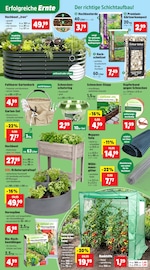 Kunstrasen im Thomas Philipps Prospekt in Berlin Aktueller Thomas Philipps Prospekt mit Kunstrasen, "Top Angebote", Seite 5