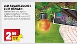 LED-Solarleuchte zum Hängen Angebote bei Marktkauf Heilbronn für 2,99 €