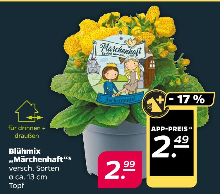 Blühmix 'Märchenhaft'