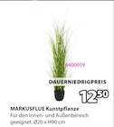 MARKUSFLUE Kunstpflanze im aktuellen JYSK Prospekt für 12,50 €