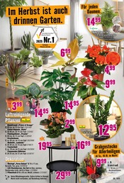 Aktueller Hornbach Prospekt mit Grabpflege, "Wir sagen Danke.", Seite 27