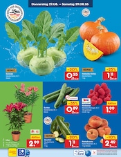 Ähnliche Wolle Angebote im Prospekt "Aktuelle Angebote" von Netto Marken-Discount in Frankfurt Ähnliche Angebote wie Wolle im Prospekt "Aktuelle Angebote" auf Seite 3 von Netto Marken-Discount in Frankfurt