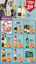 REWE Schnaps im Prospekt 