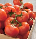 Promo TOMATE RONDE EN GRAPPE à 1,29 € dans le catalogue Intermarché à Vallauris