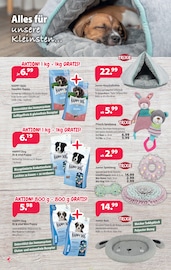 Aktueller Kiebitzmarkt Prospekt mit Bett, "Frohe Ostern und auf in die Freiluftsaison!", Seite 6