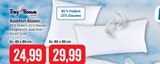 Komfort-Kissen im Angebot bei Kaufhaus Stolz in Kiel Komfort-Kissen Angebote von Tony Brown by Stolz bei Kaufhaus Stolz Kiel für 24,99 €