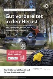 Aktueller Volkswagen Werkstatt & Auto Prospekt in Ottobrunn und Umgebung, "Mit frischen Reifen durch den Herbst" mit 1 Seite, 01.09.2024 - 30.11.2024