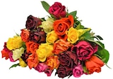 Aktuelles Rosen Rainbow Angebot bei REWE in Kiel ab 3,79 €