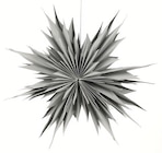 Thomas Philipps Bamberg - Metall-Rentier Angebot im Prospekt Metall-Rentier bei Thomas Philipps im Bamberg Prospekt für 7,99 €