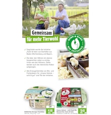 Eier im Marktkauf Prospekt "Aktuelle Angebote" mit 85 Seiten (Reutlingen)