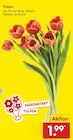 Tulpen Angebote bei Netto Marken-Discount Emden für 1,99 €