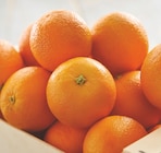 Orange à dessert - Netto Orange à dessert à 3,29 € dans le catalogue Netto