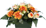 Bazarland Latour-Bas-Elne - Promo Jardinière de dahlias et boutons Promo Jardinière de dahlias et boutons à 25,99 € dans le catalogue Bazarland à Latour-Bas-Elne