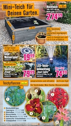 Wasser Angebot im aktuellen Hornbach Prospekt auf Seite 13
