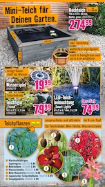 Aktueller Hornbach Prospekt mit Wasser, "Den besten Preis kann nur anbieten, wer ihn wirklich hat.", Seite 13