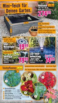 Wasser im Hornbach Prospekt "Den besten Preis kann nur anbieten, wer ihn wirklich hat." mit 32 Seiten (Berlin)