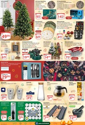 Aktueller GLOBUS Prospekt mit Mörser, "Aktuelle Angebote", Seite 24