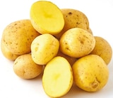 Aktuelle Kartoffeln Angebote bei Netto mit dem Scottie in Dresden Aktuelles Speisefrühkartoffeln Angebot bei Netto mit dem Scottie in Dresden ab 3,49 €