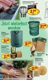 Geschenke im Picks-Raus Prospekt in Kirchheim Aktueller Picks-Raus Prospekt mit Geschenke, "1000 GELEGENHEITEN FÜR HAUS, HOBBY UND GARTEN", Seite 6