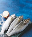 Bar d'aquaculture dans le catalogue U Express