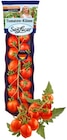 Aktuelle Tomaten Angebote bei REWE in Freiburg (Breisgau) Aktuelles Mini Roma-Rispentomaten Angebot bei REWE in Freiburg (Breisgau) ab 2,22 €