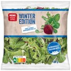 Salat Winter Edition Angebote von REWE Beste Wahl bei REWE Kirchheim für 0,99 €