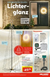 Aktueller Hellweg Prospekt mit Weihnachtsbaum, "Die Profi-Baumärkte", Seite 19